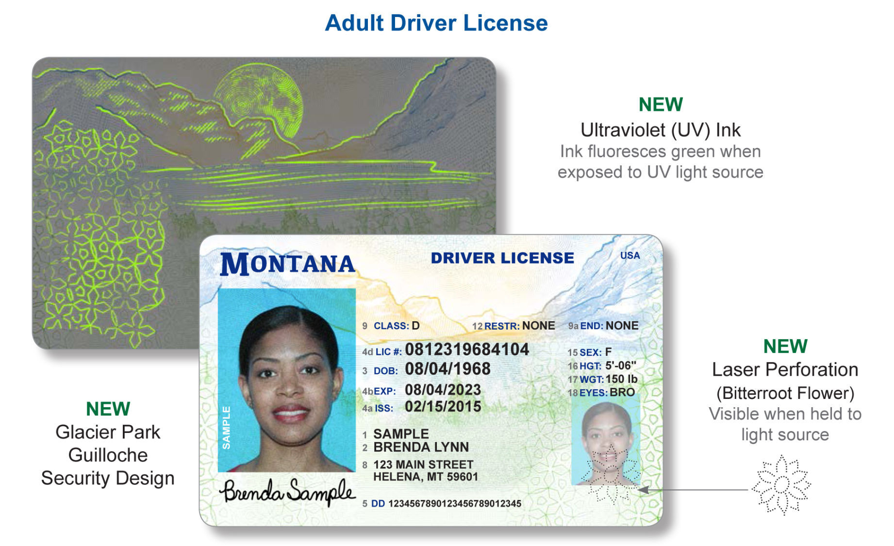 Mt State Id Card